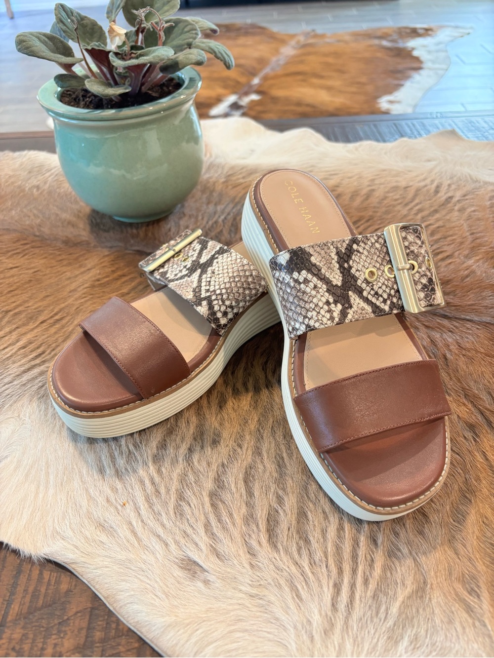 COLE HAAN Original Grand Platform Sandal Sandollar Snake Print